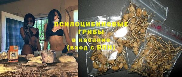 прущие крисы Богородицк