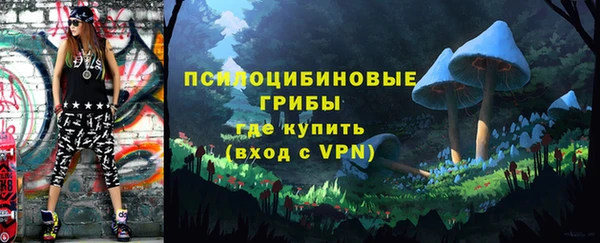 прущие крисы Богородицк