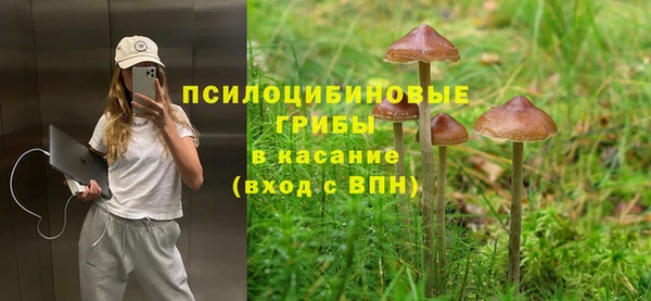 Альфа ПВП Богородск
